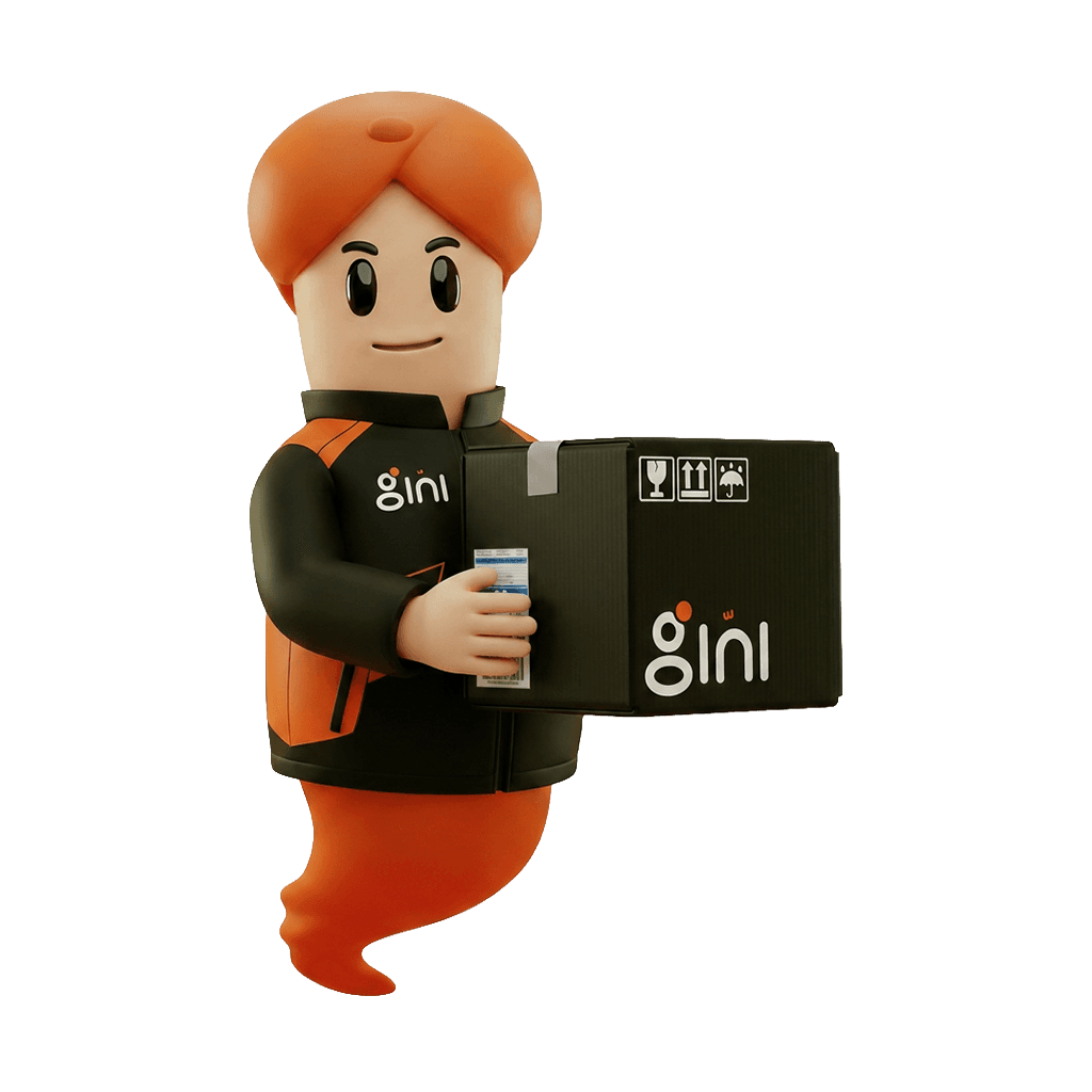 GINI — Package