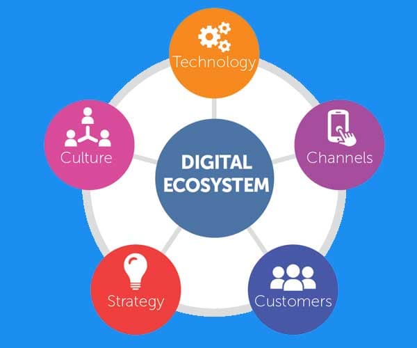 التحول من البيع الإلكتروني إلى بناء منظومات رقمية متكاملة